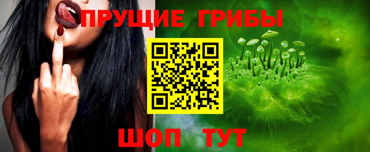 Галлюциногенные грибы MAGIC MUSHROOMS  Вход с VPN  Галлюциногенные грибы GOLDEN TEACHER  Железногорск 